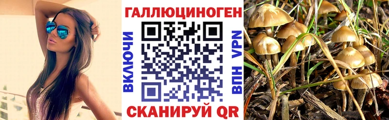 Псилоцибиновые грибы мицелий  Челябинск 