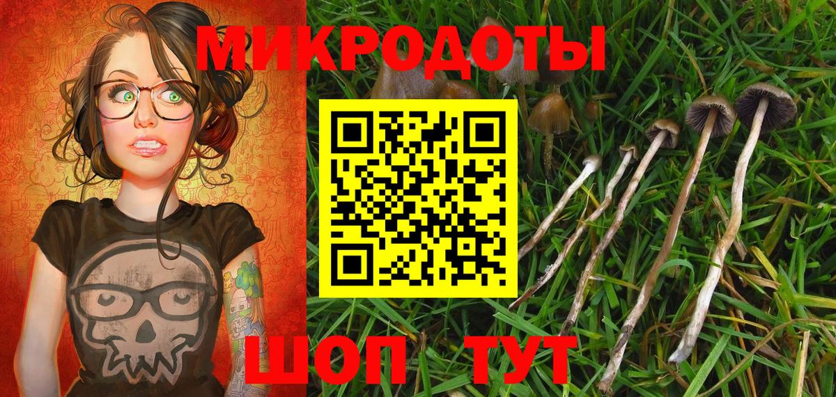 Псилоцибиновые грибы GOLDEN TEACHER  Вход с VPN  Челябинск 
